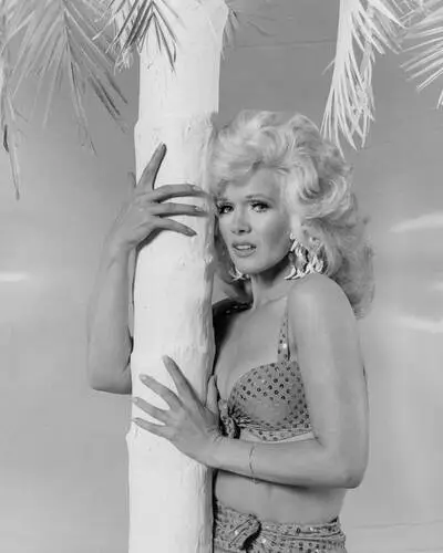Connie Stevens Wall Poster picture 279785