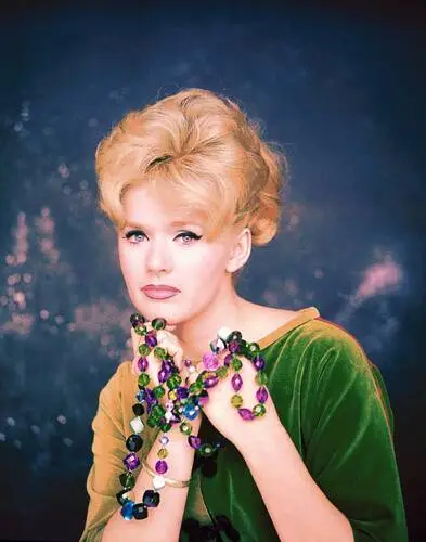 Connie Stevens Wall Poster picture 279788