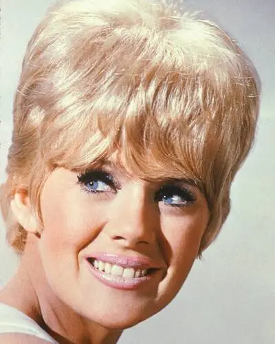 Connie Stevens Wall Poster picture 279795