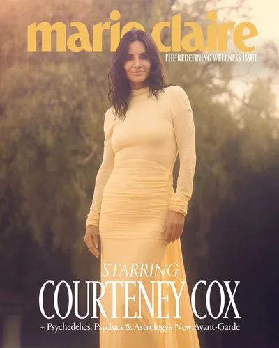 Courteney Cox Wall Poster picture 1170460