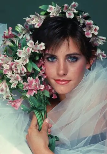 Courteney Cox Wall Poster picture 244879