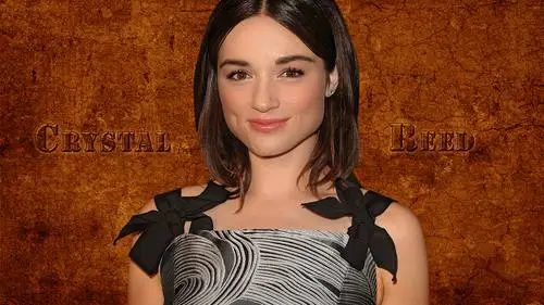 Crystal Reed Fridge Magnet picture 280133