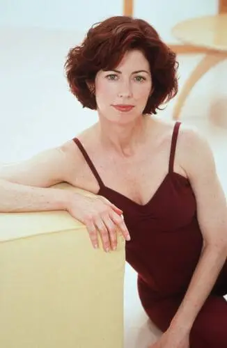 Dana Delany Wall Poster picture 590966