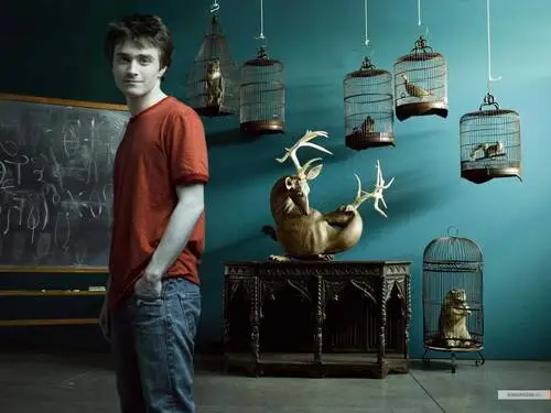 Daniel Radcliffe Wall Poster picture 5939
