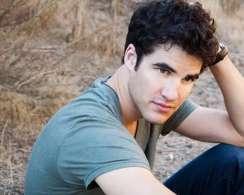 Darren Criss Wall Poster picture 173377