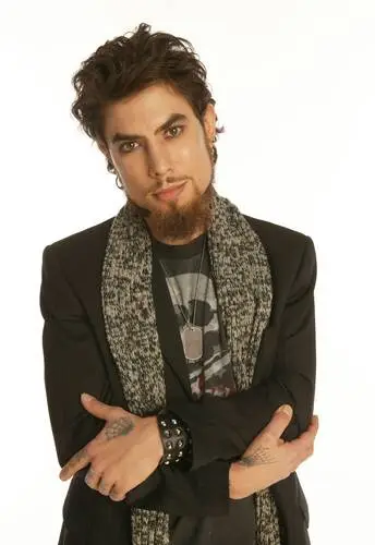 Dave Navarro Wall Poster picture 502528