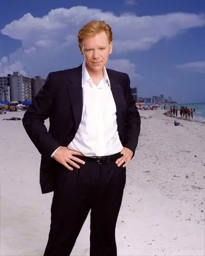 David Caruso Protected Face mask - idPoster.com