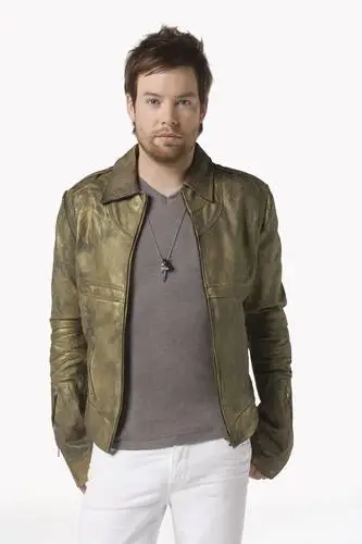David Cook Wall Poster picture 71435
