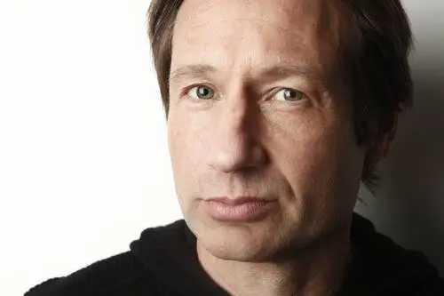 David Duchovny Wall Poster picture 133592