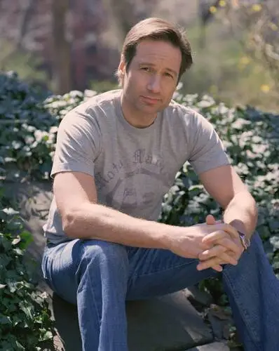 David Duchovny Wall Poster picture 487416
