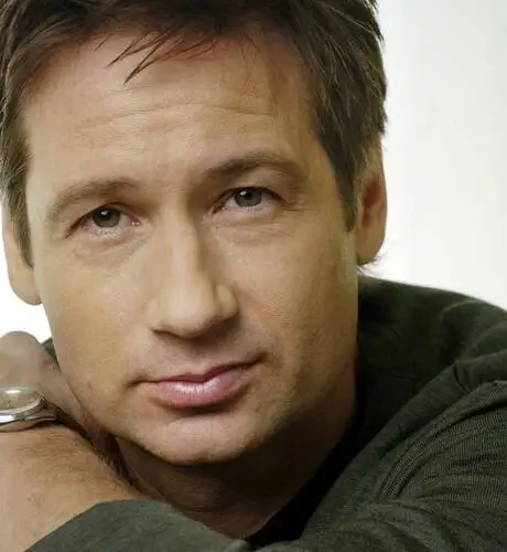 David Duchovny Wall Poster picture 487432