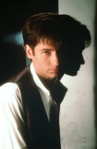 David Duchovny Wall Poster picture 493928