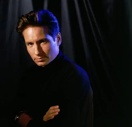 David Duchovny Jigsaw Puzzle picture 60126