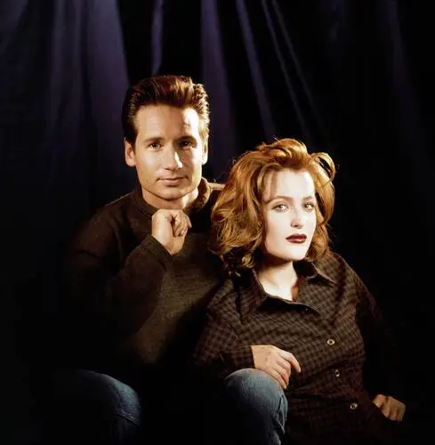 David Duchovny Jigsaw Puzzle picture 60127