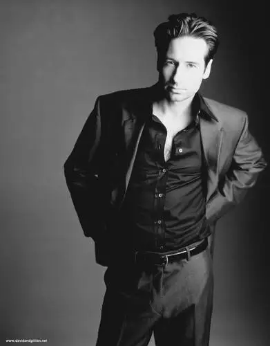 David Duchovny Jigsaw Puzzle picture 63761