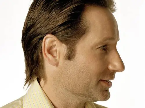 David Duchovny Jigsaw Puzzle picture 79255
