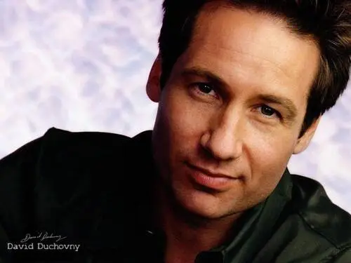 David Duchovny Wall Poster picture 84674