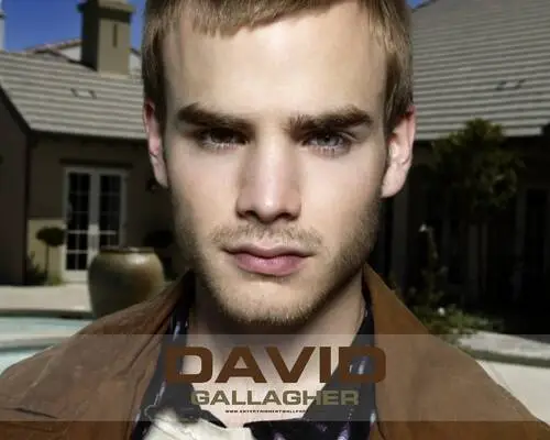 David Gallagher Wall Poster picture 75288