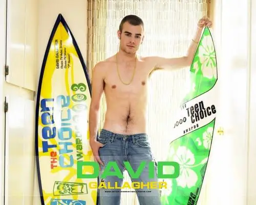 David Gallagher Wall Poster picture 95410