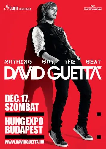 David Guetta Wall Poster picture 125873