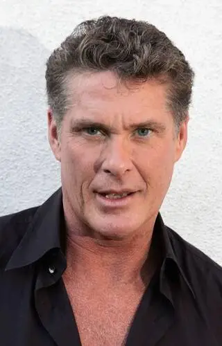 David Hasselhoff Jigsaw Puzzle picture 502360
