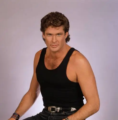 David Hasselhoff Wall Poster picture 527181