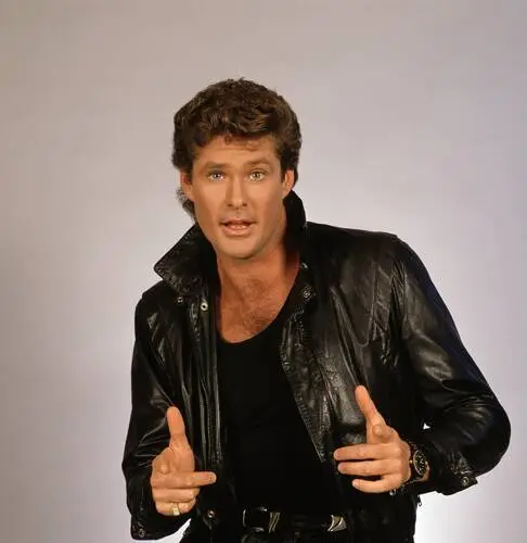David Hasselhoff Wall Poster picture 527184