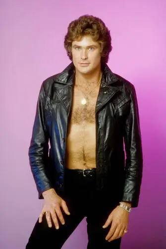David Hasselhoff Computer MousePad picture 538621