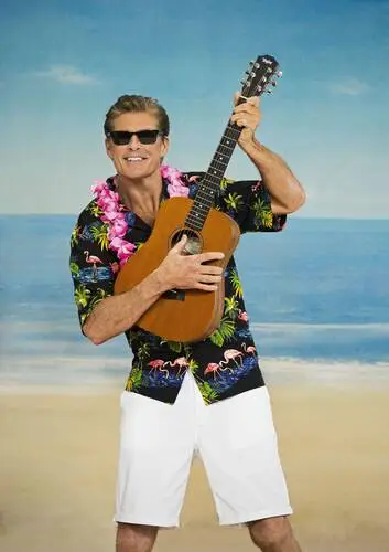 David Hasselhoff Wall Poster picture 593410