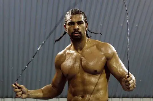 David Haye Wall Poster picture 304862