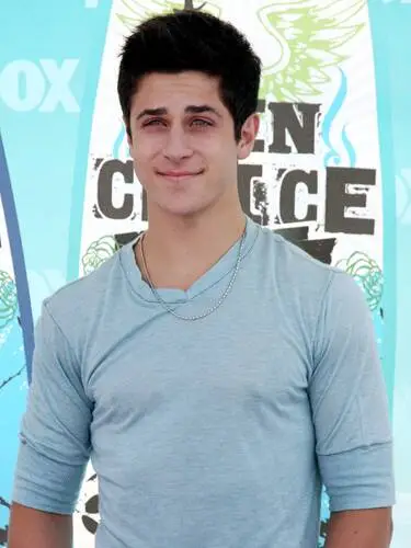 David Henrie Wall Poster picture 110417