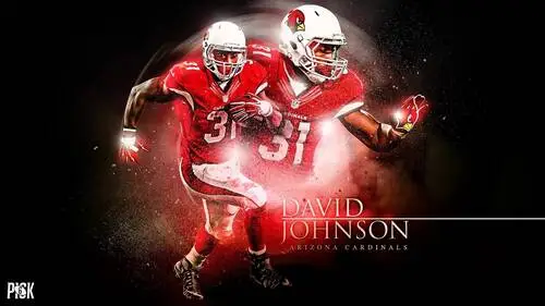 David Johnson Wall Poster picture 717606