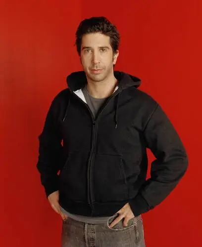 David Schwimmer Wall Poster picture 505067