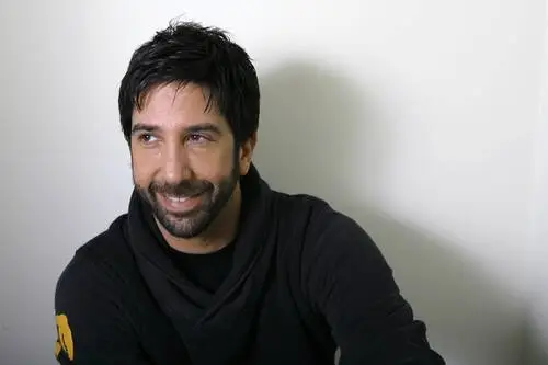 David Schwimmer Wall Poster picture 521085