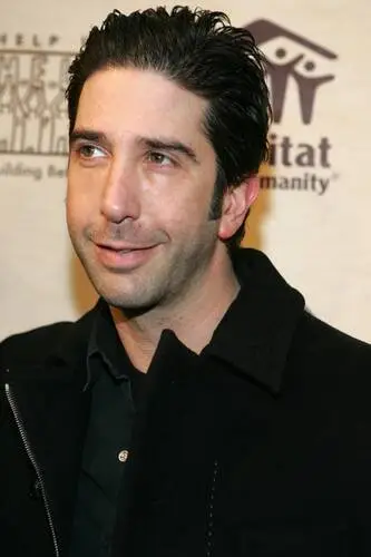 David Schwimmer Wall Poster picture 75295