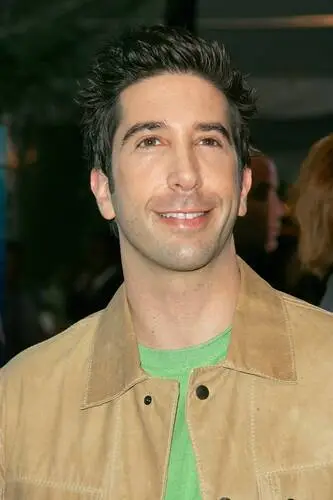 David Schwimmer Wall Poster picture 75296