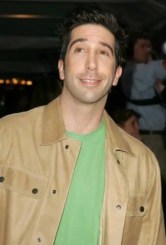 David Schwimmer Wall Poster picture 75297