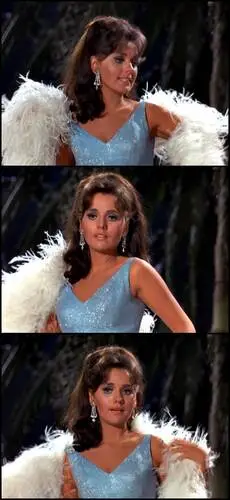 Dawn Wells Wall Poster picture 199540