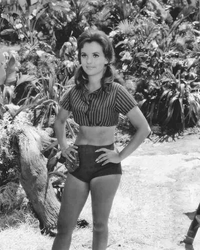 Dawn Wells Wall Poster picture 685286
