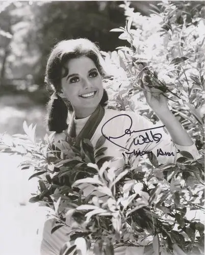 Dawn Wells Wall Poster picture 685291