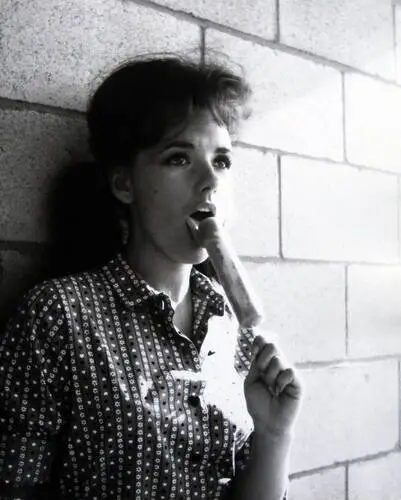 Dawn Wells Computer MousePad picture 685322