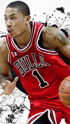 Derrick Rose Wall Poster picture 282631