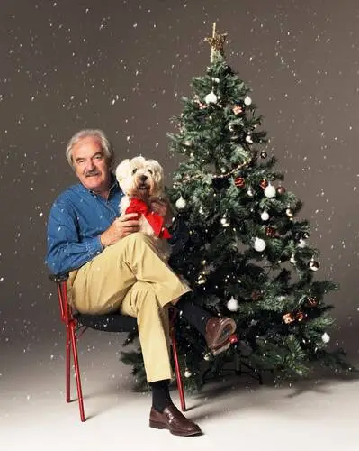 Des Lynam Wall Poster picture 522494