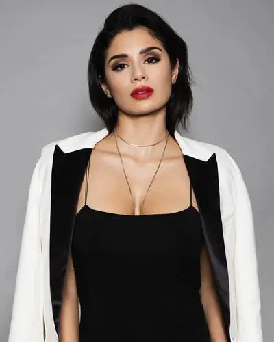 Diane Guerrero Wall Poster picture 594778