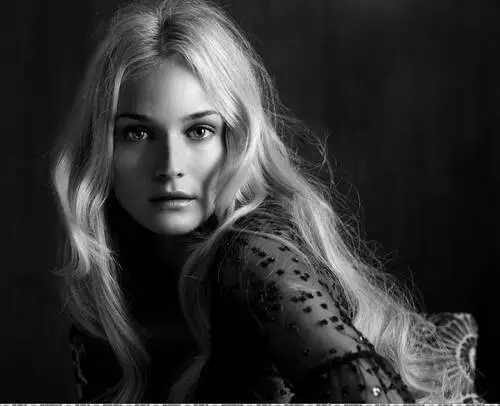 Diane Kruger Jigsaw Puzzle picture 539382