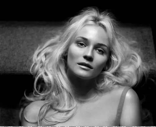 Diane Kruger Jigsaw Puzzle picture 539385