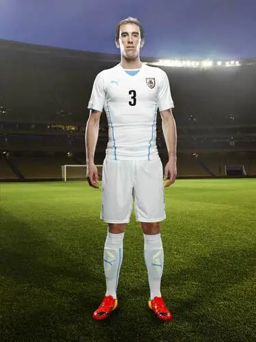 Diego Godin Wall Poster picture 671300