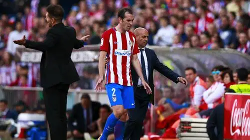 Diego Godin Wall Poster picture 671306