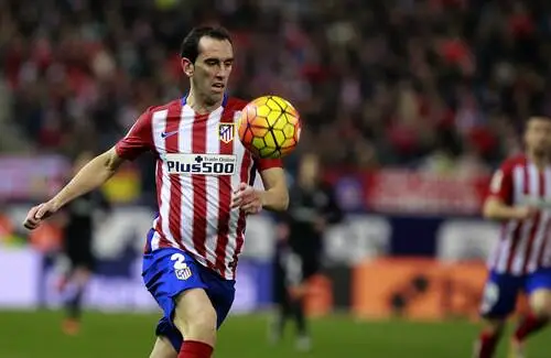 Diego Godin Wall Poster picture 671311