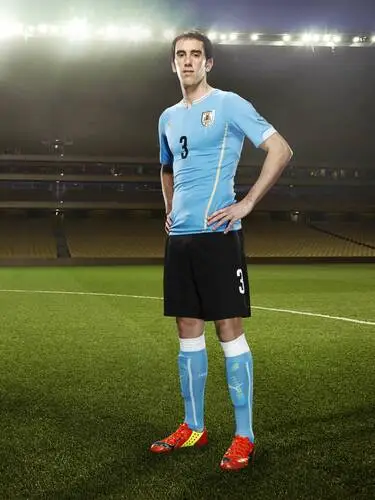 Diego Godin Wall Poster picture 671323
